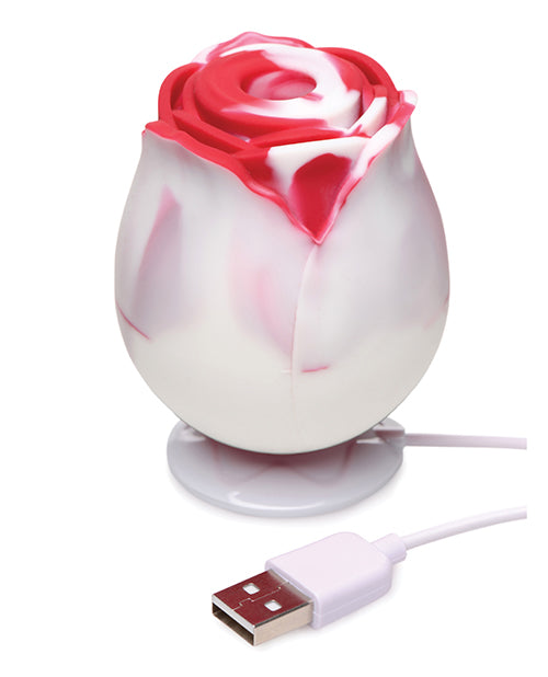 Bloomgasm The Rose Lover's Gift Box - Red & White Swirl Rose Bouquet for Valentine's Day, Anniversary & Romantic Occasions