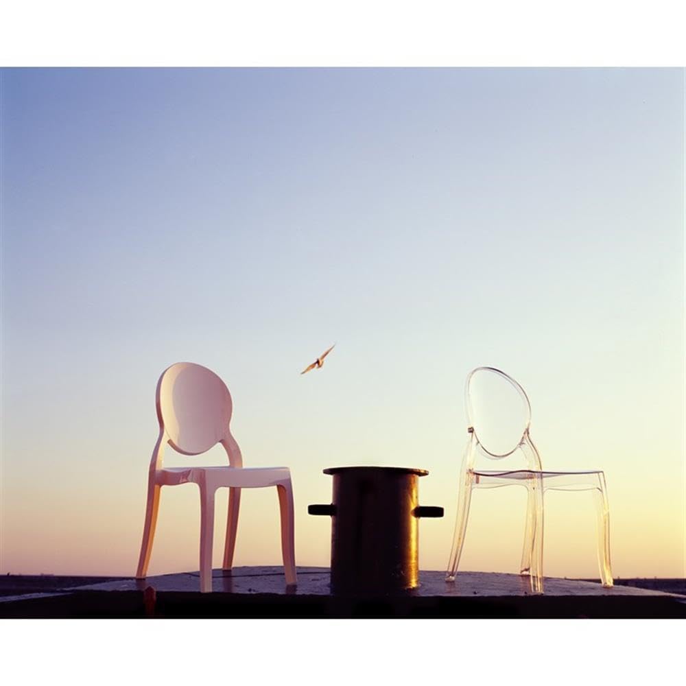 Clear Polycarbonate Patio Dining Chairs - Set of 2 Modern Outdoor Chairs by Compamia Elizabeth | Perfect for Garden, Poolside, and Backyard Dining