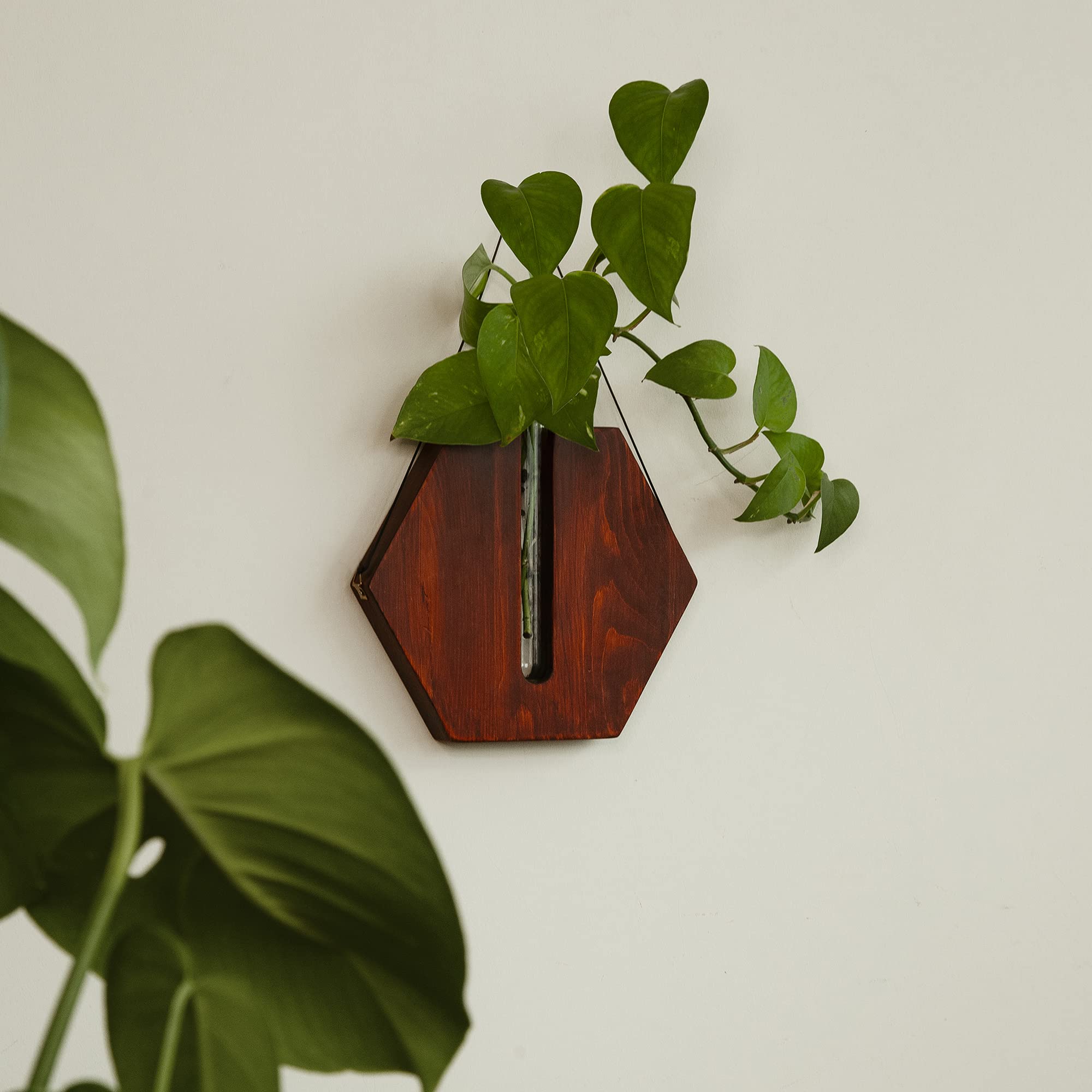 Hanging Planters for Indoor Plants - Self Watering Succulent Planters with Boho & Farmhouse Wall Decor - Perfect for Home, Office, and Living Room Decor