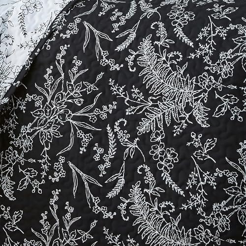 40 - Winter Brush Black