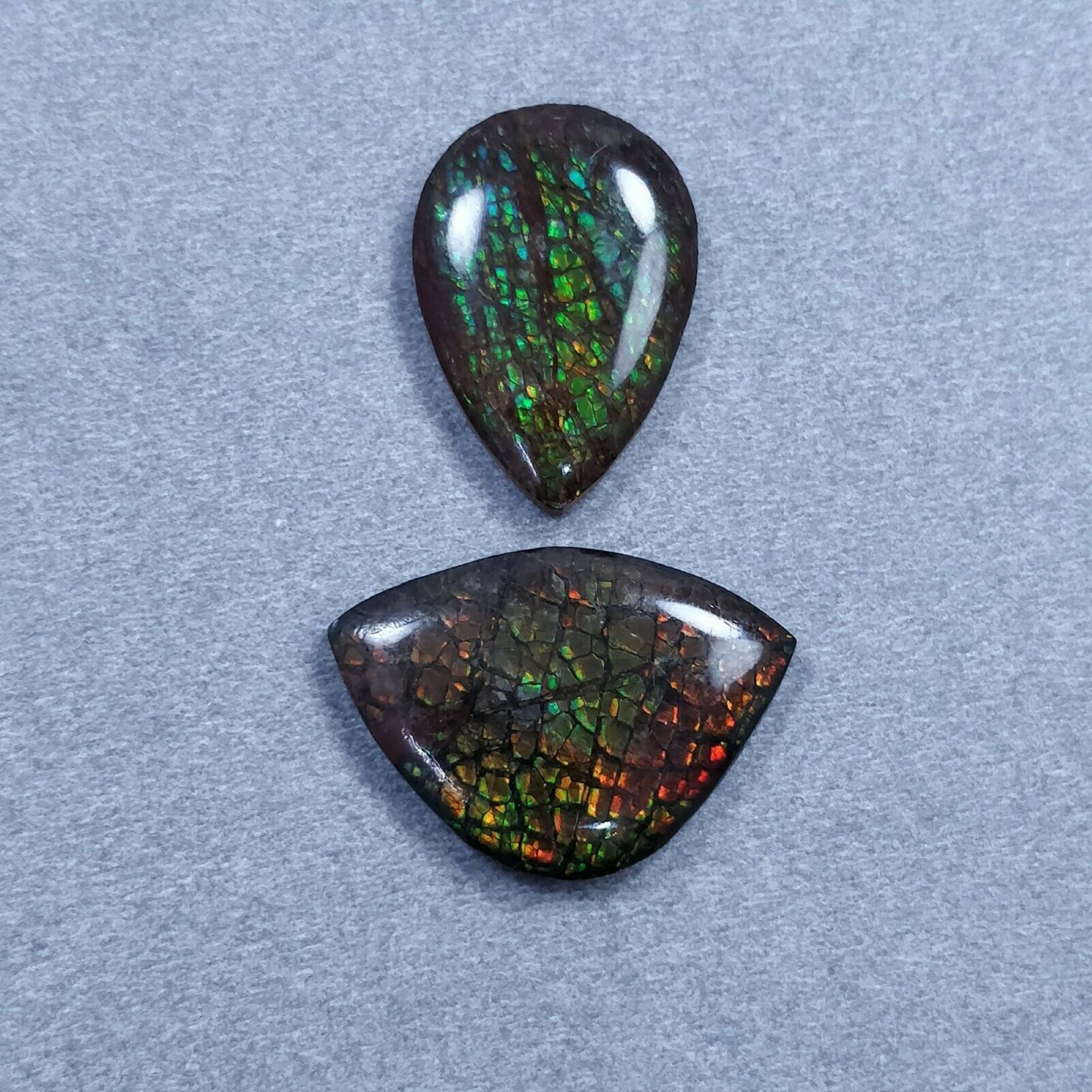 Natural AMMOLITE Gemstone Cabochon - Bi-Color Fossilized Shell, 17.5x25mm & 22x16mm Uneven Shape for Jewelry Making, Collectors & Healing Crystals