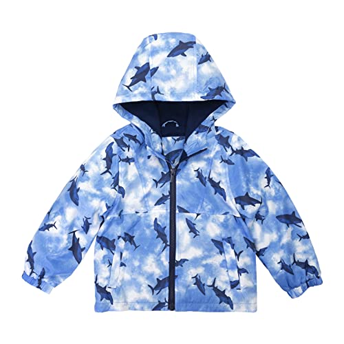 Shark Print