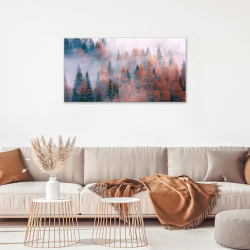 Foggy Forest