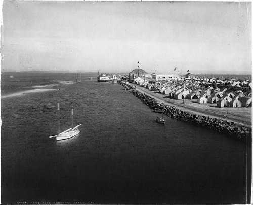 Vintage 1905 Panoramic Photo of Tent City at Coronado Beach California | Historical Black & White Landscape Photography | Perfect for Home Decor, Office Wall Art & History Enthusiasts