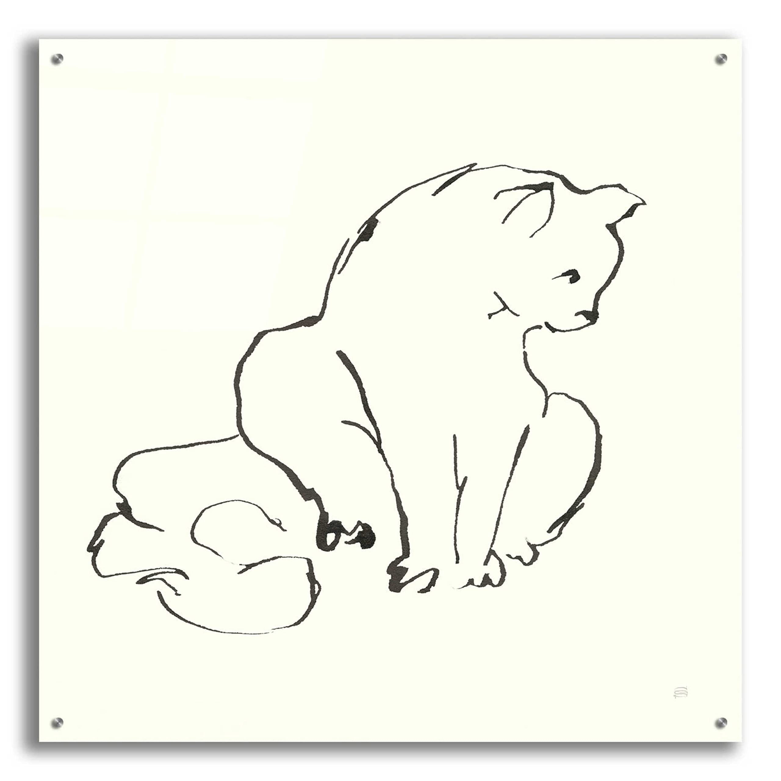 Line Kitten II Wall Art by Chris Paschke - 36x36 Inch Modern Acrylic Glass Painting - Perfect for Living Room, Bedroom & Office Decor