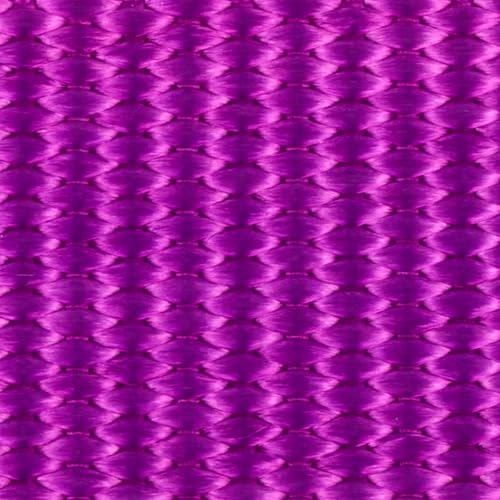 Bright Purple