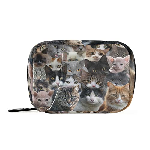 Cats Black