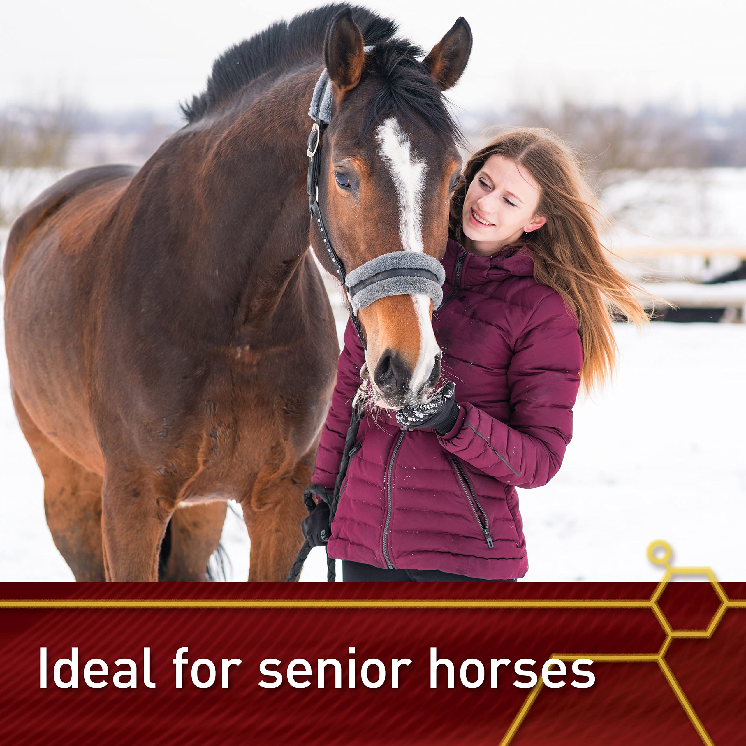 Pro Accel Equine Health & Wellness Supplement for Horses – 10 lb | Supports Joint Health, Coat Shine & Immune System | Ideal for Performance Horses & Senior Equine Care
