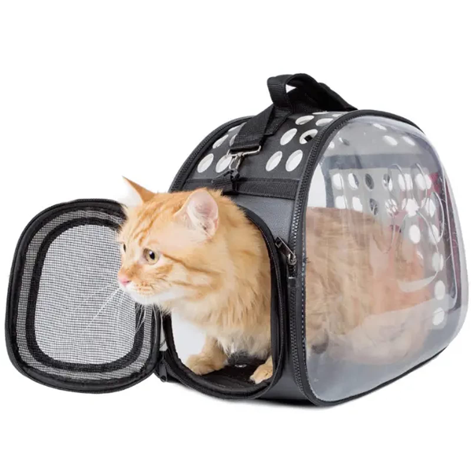 Emily Pets Transparent Collapsible Cat Carrier Backpack - Breathable Travel Bubble Pet Carrier for Cats & Small Dogs, Medium Size (Grey) - Perfect for Air Travel, Hiking, Vet Visits & Outdoor Adventures