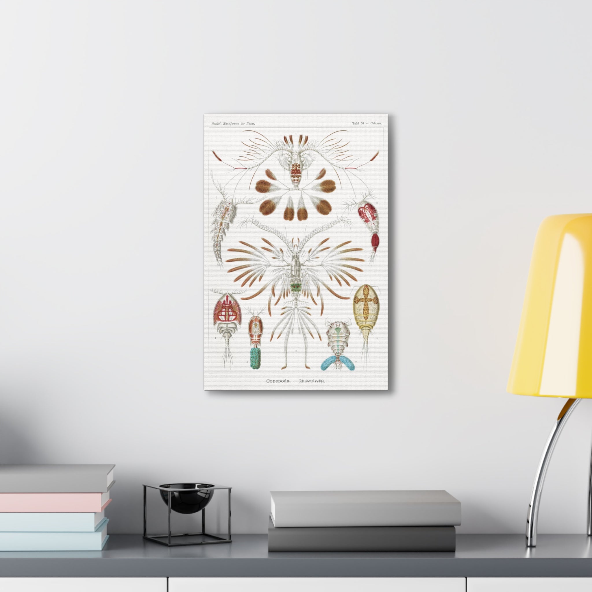 Copepoda Ruderkrebse by Ernst Haeckel - Premium Canvas Art Print for Home & Office Decor | Marine Biology Wall Art | Scientific Illustration Gift