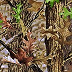 Hunter Tree Camo