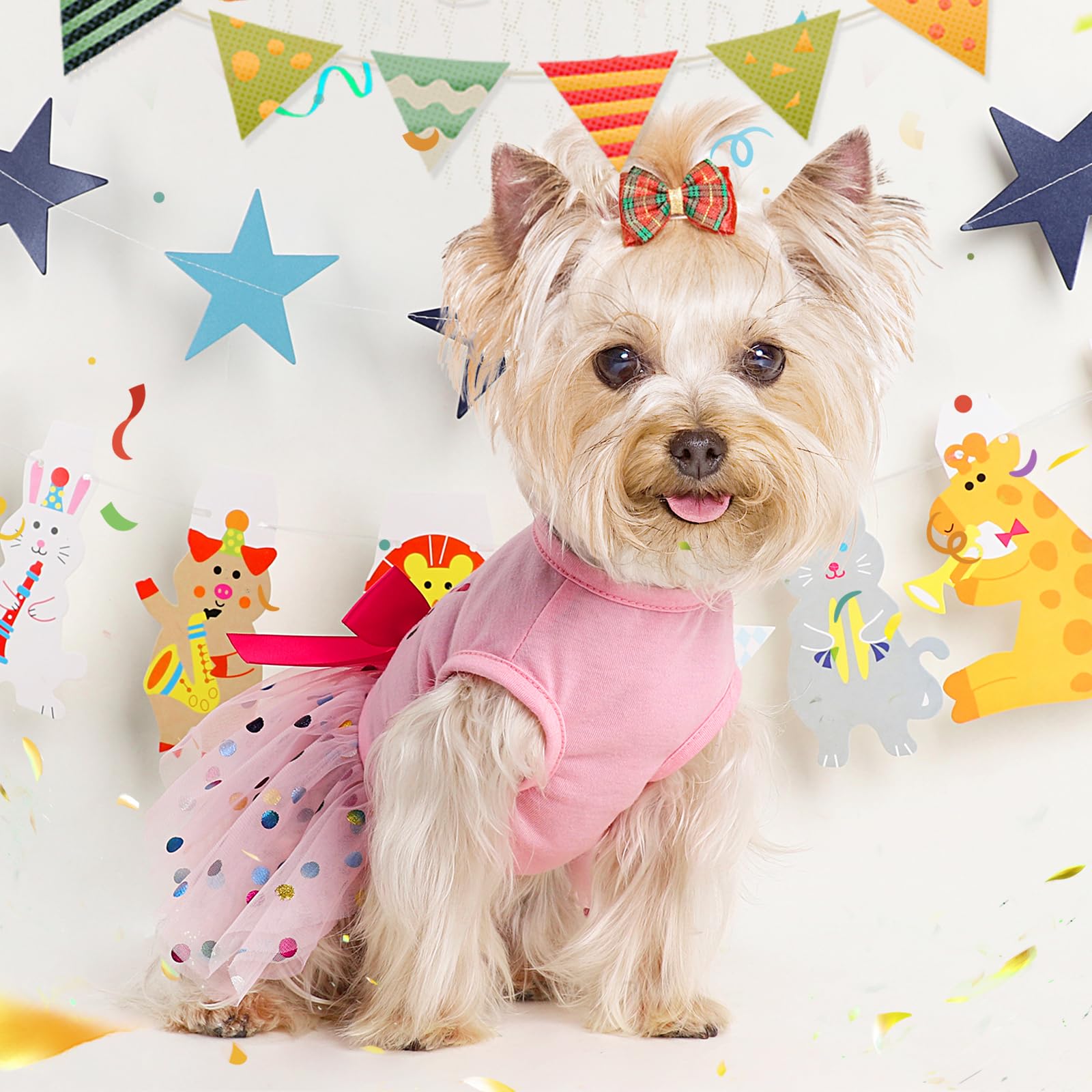 Dog Birthday Dress & Hat Set - Cute Princess Outfit for Small Dogs & Puppies - Pet Birthday Costume for Cats & Dogs (Small Size) - Perfect for Birthday Parties & Photo Shoots
