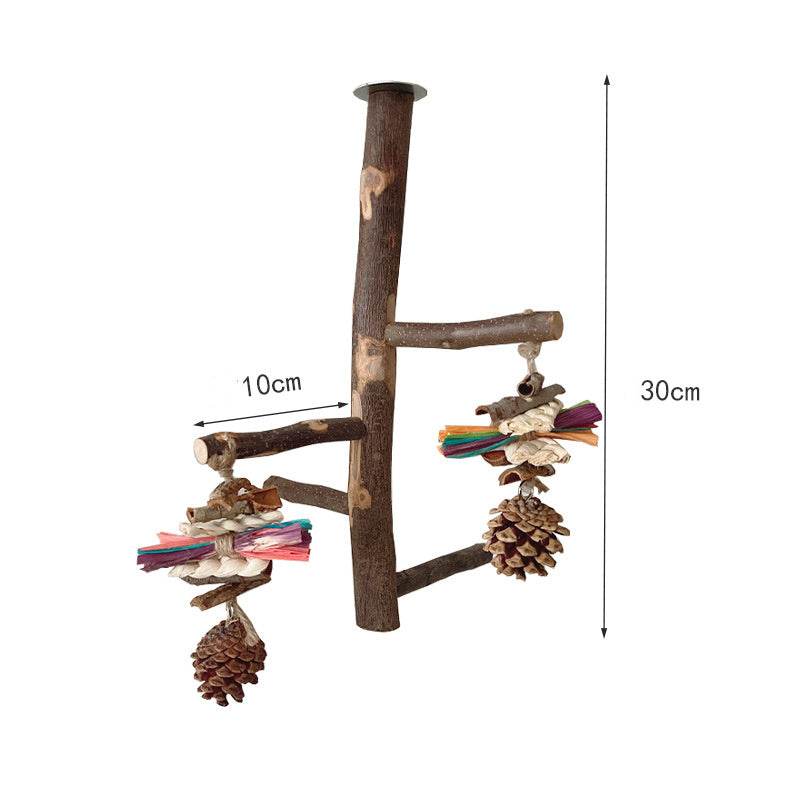 Perch & Play: Natural Wood Parrot Stand - Bird Play Gym for Parakeets, Cockatiels & Small Birds | Perfect for Playtime, Exercise & Training at Home