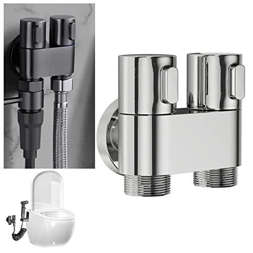 Silver Valve