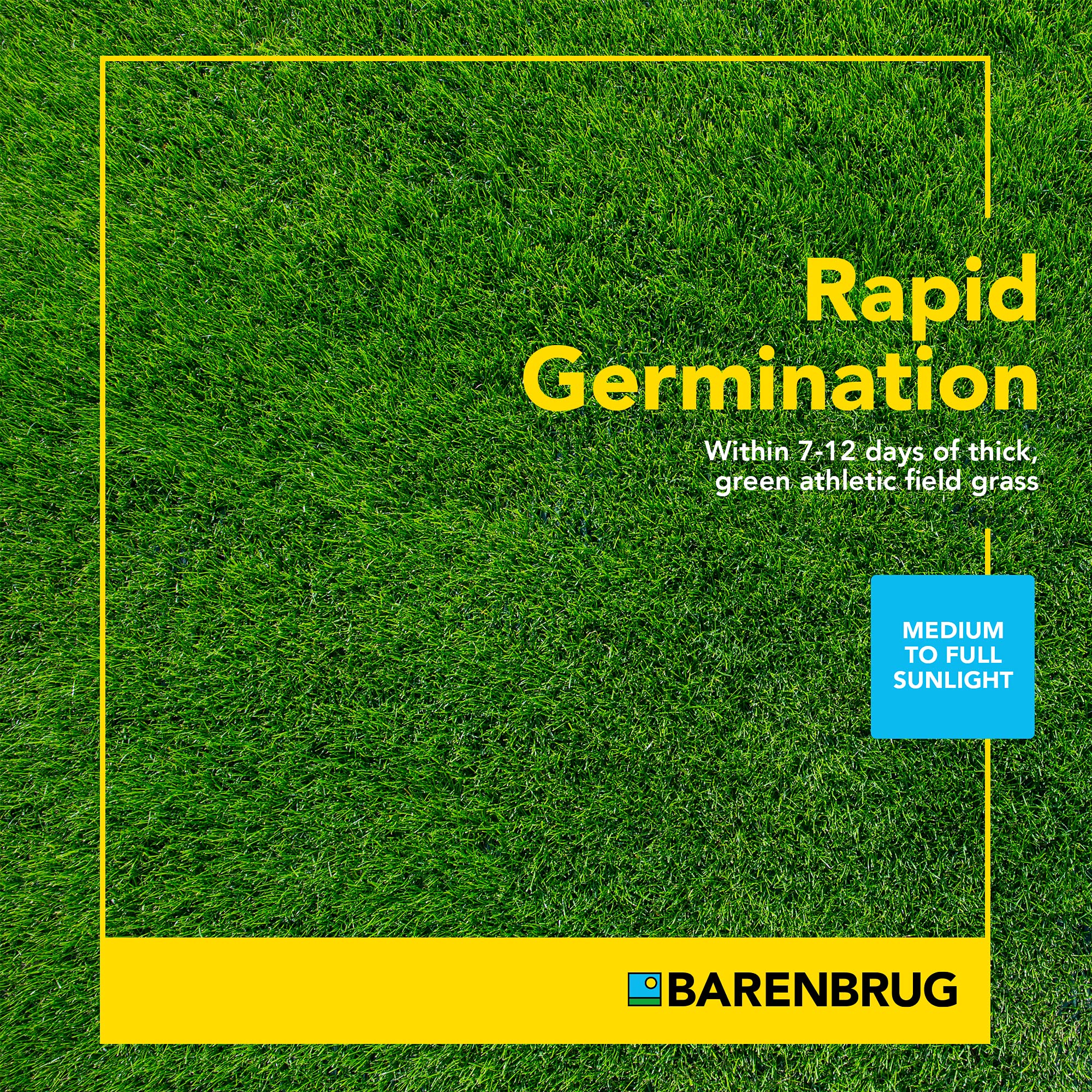 Barenbrug 25626 Turf Sense Athletic Field Grass Seed - 25 LB Bag for Sun & Partial Shade Areas | High-Performance Sports Turf for Football, Soccer & Playgrounds