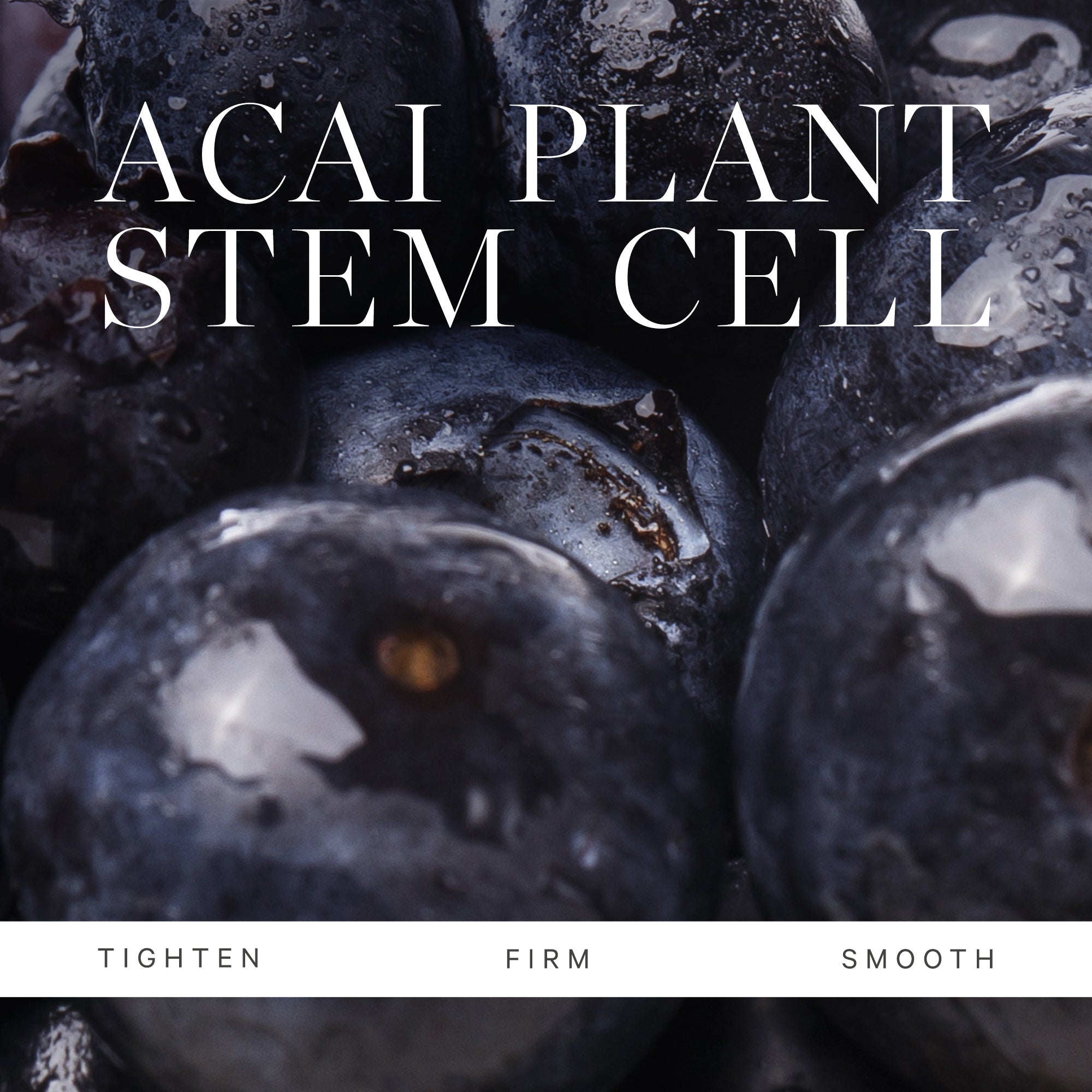 Plant Stem Cell Retinol Alternative Moisturizer - Anti-Aging Face Cream for Wrinkles & Fine Lines | Vegan, Cruelty-Free Skincare for Dry & Sensitive Skin | Perfect for Night Routine & Daily Hydration