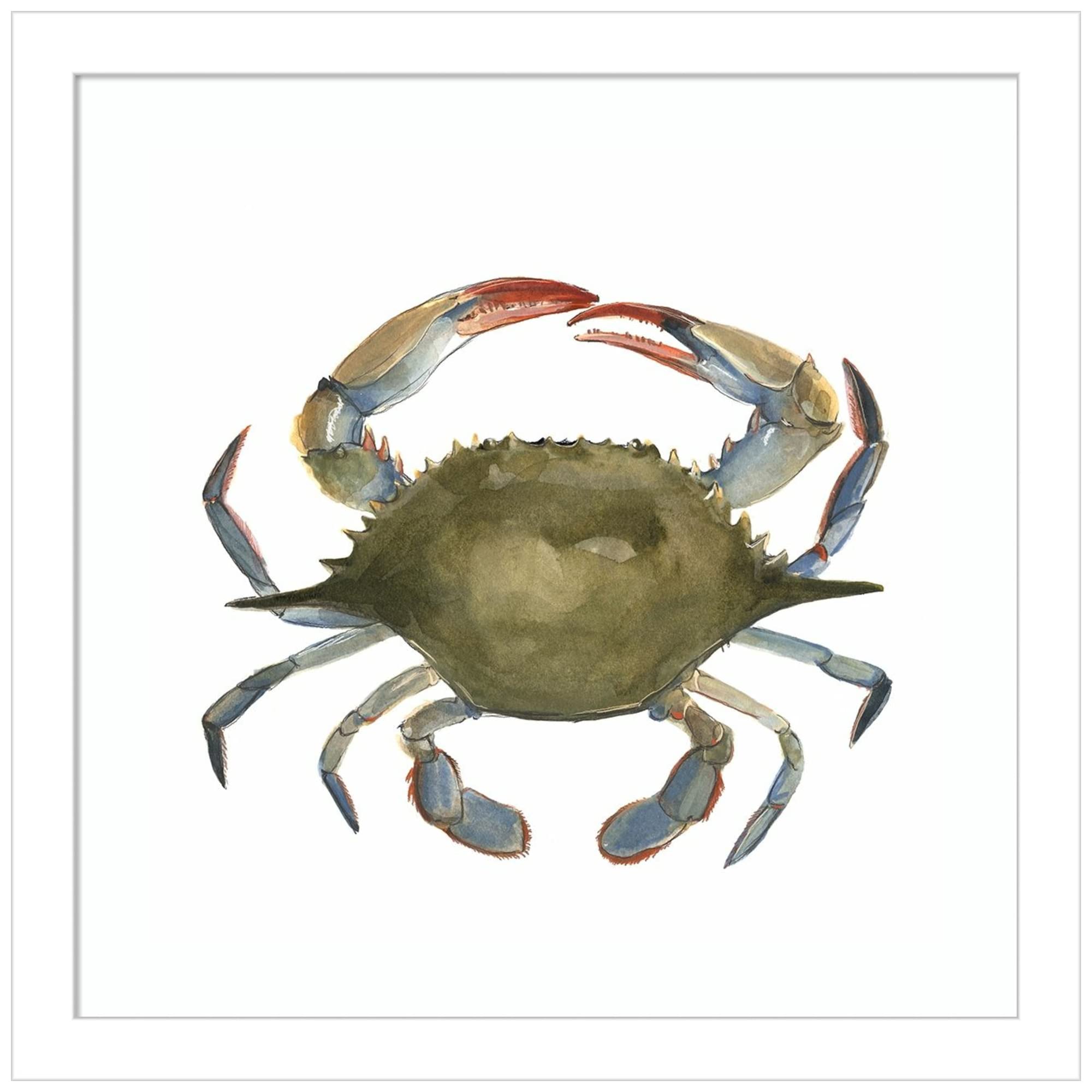 Emma Scarvey Watercolor Crab II Wood Framed Wall Art Print - 13x13 Inch White Frame - Coastal Decor, Beach House Wall Art, Kitchen Bathroom Decor
