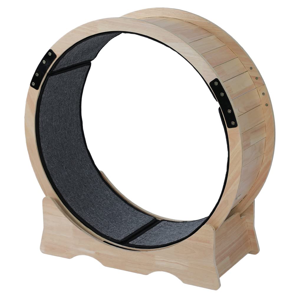 Premium Cat Exercise Wheel - Interactive Workout Toy for Indoor Cats | Fun Fitness Trainer for Active Play & Weight Management - Perfect for Small Apartments & Playrooms