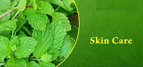 100% Pure Mint Powder for Face & Skin - Natural Peppermint Powder (Pudina Churna) 100g | Organic Facial Treatment, DIY Beauty Recipes & Ayurvedic Skincare