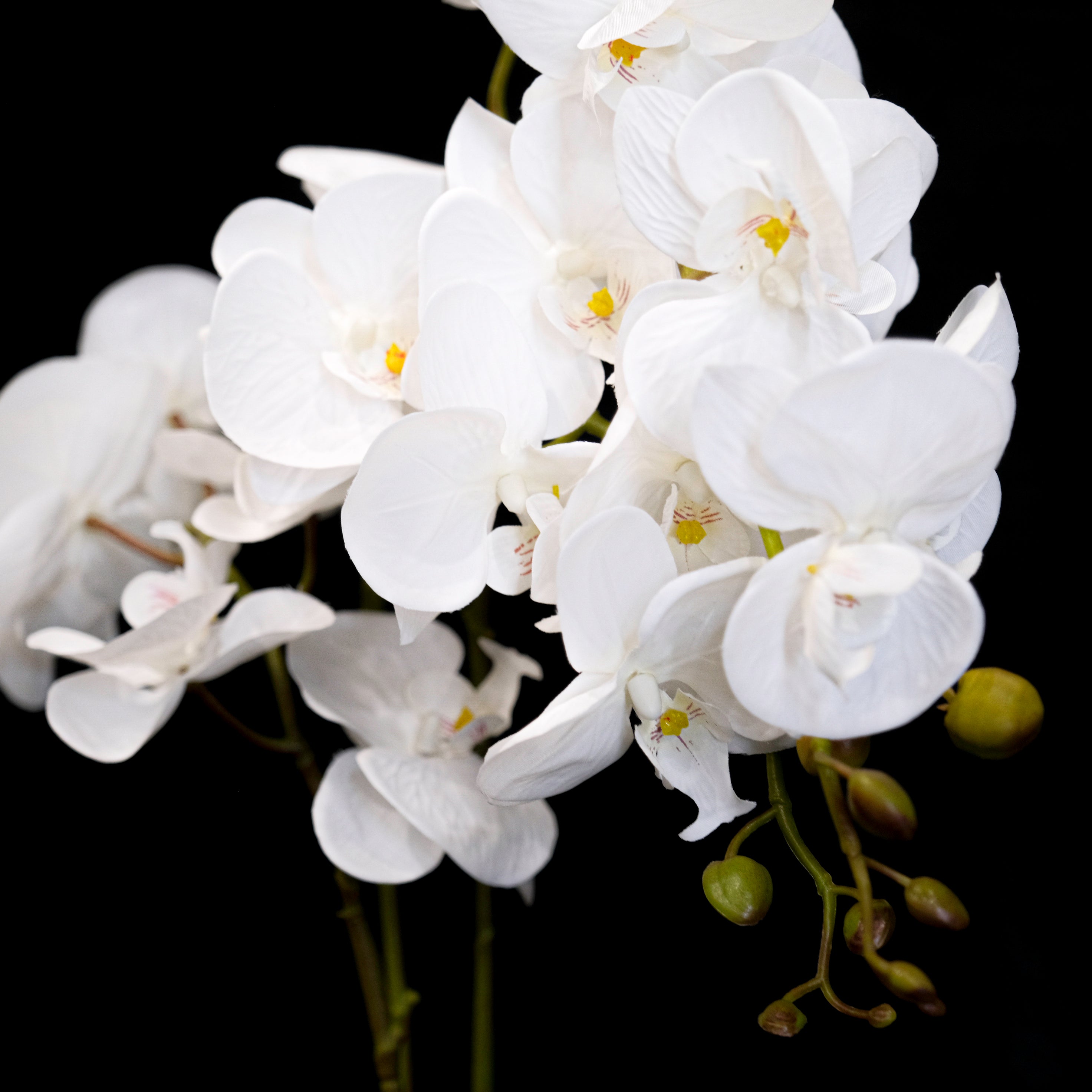 Premium Artificial White Orchid Flowers in Elegant White Pot - 65cm Tall Lifelike Fake Plant for Home Decor, Office, Wedding & Events