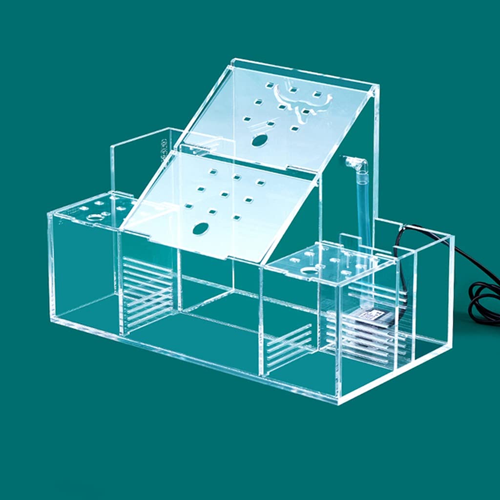 TJLSS Acrylic Aquarium Fish Tank - Small Transparent Isolation & Breeding Box for Betta Fish - Desktop Decor for Home & Office (Basic Model)