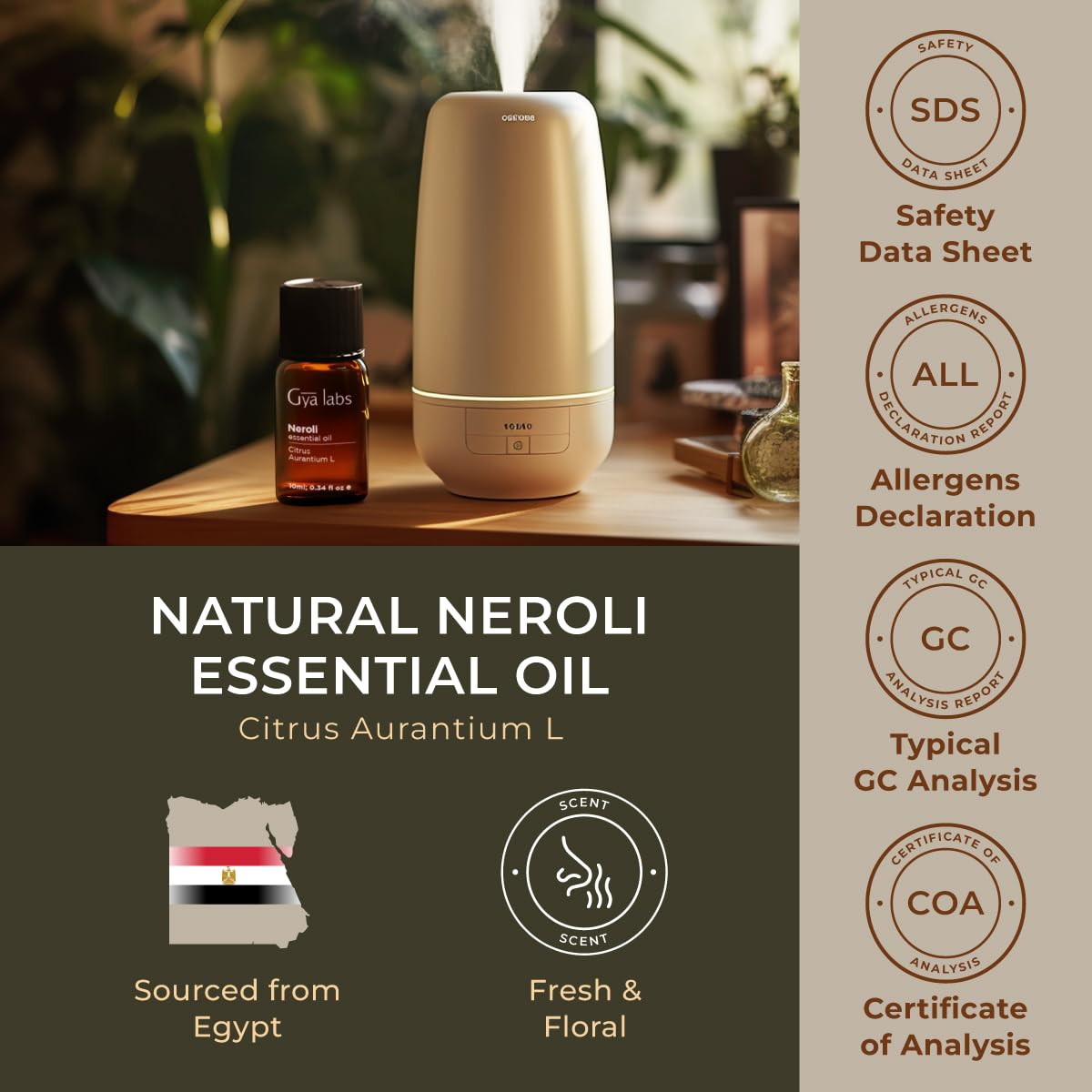 Gya Labs 100% Pure Neroli & Egyptian Geranium Essential Oils Set - 2x0.34 fl oz Natural Aromatherapy Oils for Diffusers, Skin Care & Relaxation - Perfect for Home Spa, Massage & Stress Relief