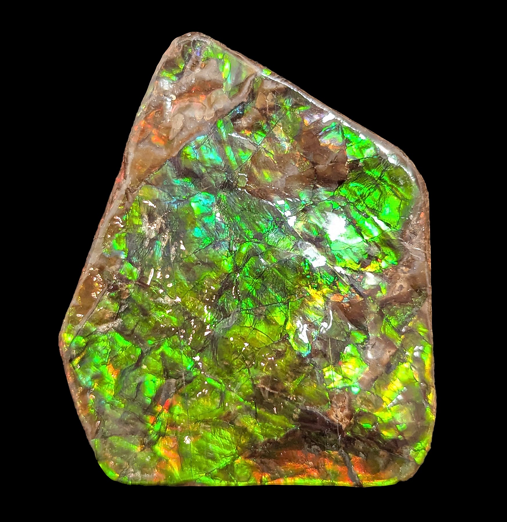 Natural Large Ammolite Gemstone Fragment - Rare Iridescent Fossilized Shell for Jewelry Making & Mineral Collection | Perfect for DIY Crafts, Home Decor, and Healing Crystal Displays