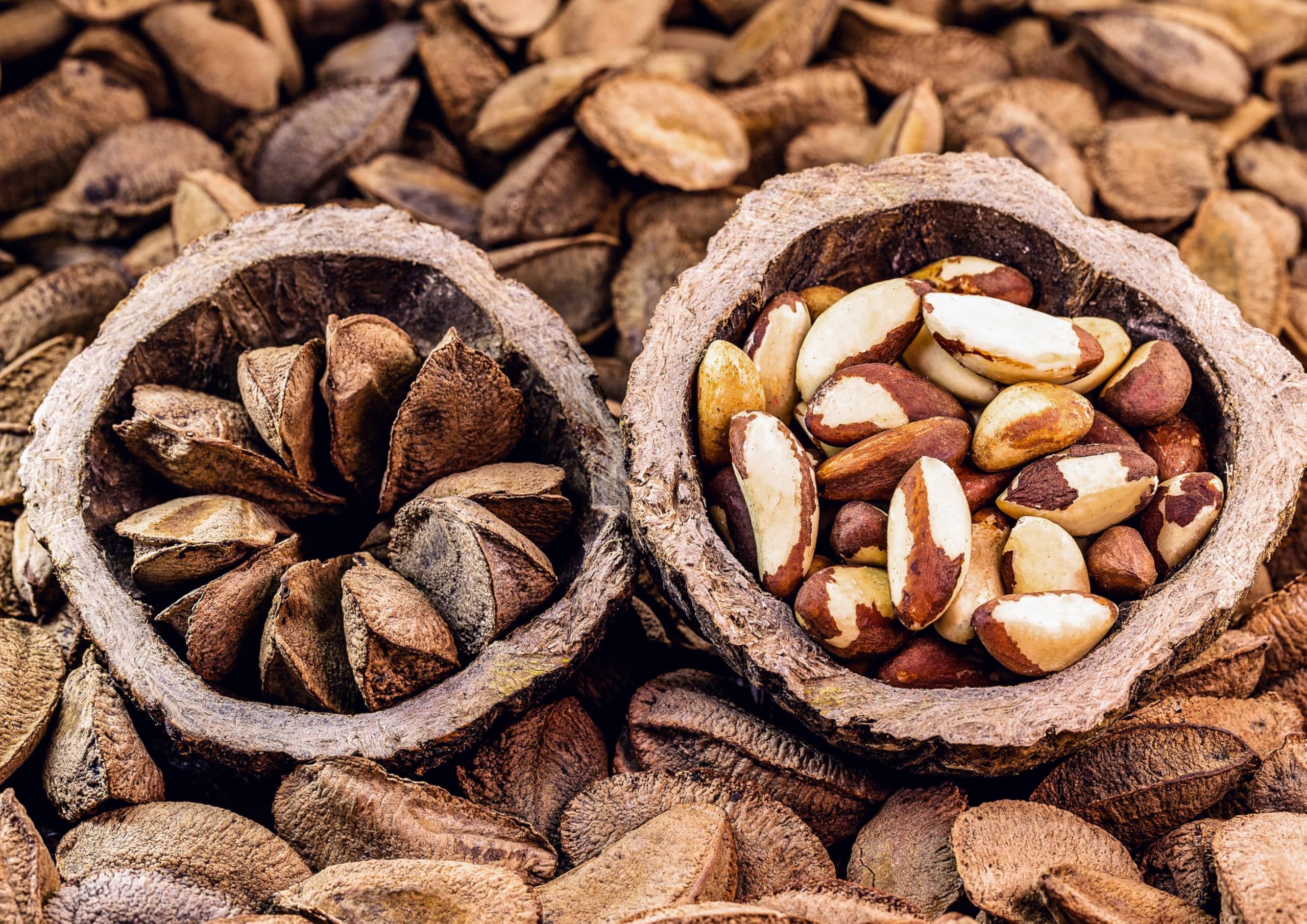 Food to Live - Dry Roasted Brazil Nuts with Himalayan Salt, 8 Pounds – Oven Roasted, Lightly Salted, No Oil Added, Whole, Vegan, Kosher, Bulk Snacks for Healthy Eating, Keto Diet & On-the-Go Nutrition