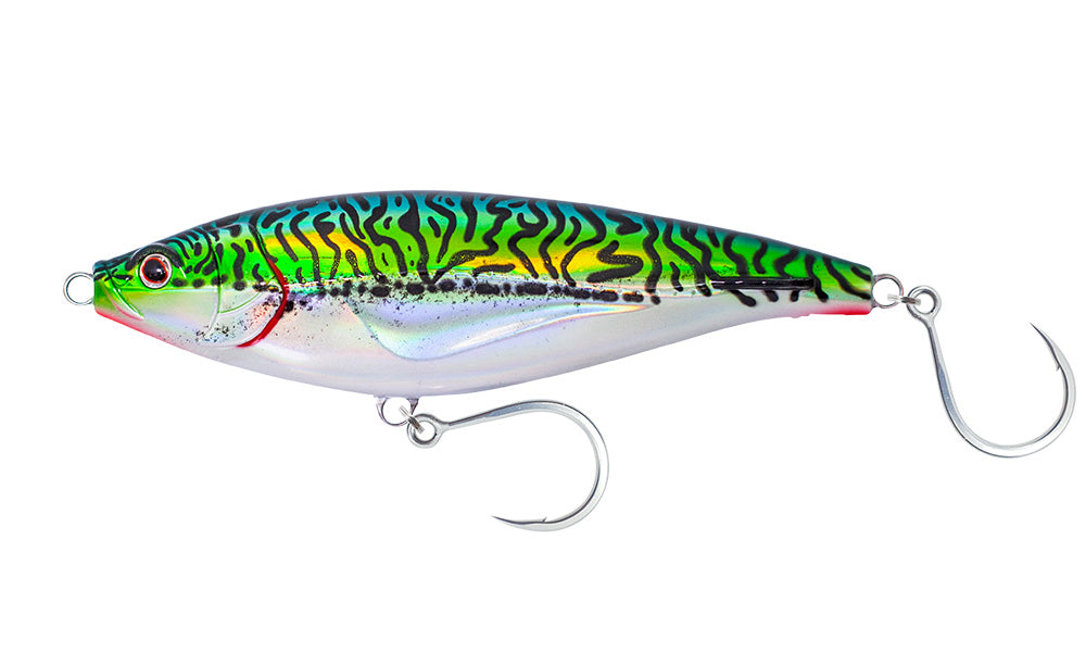 Chartreuse Orange Mackerel