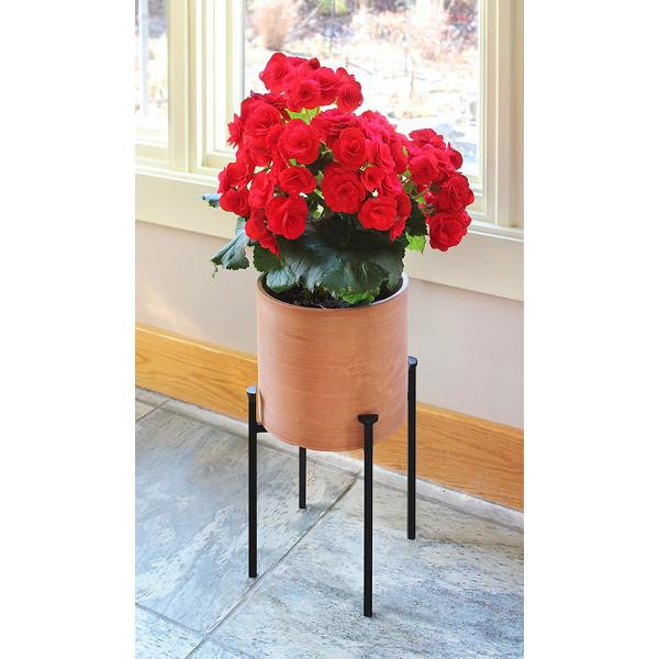 Eileen Plant Stand - Modern Indoor & Outdoor Flower Holder for Home, Garden, Balcony Decor | Perfect for Succulents, Potted Plants, Herbs | Sturdy Metal Design with Rust-Resistant Finish
