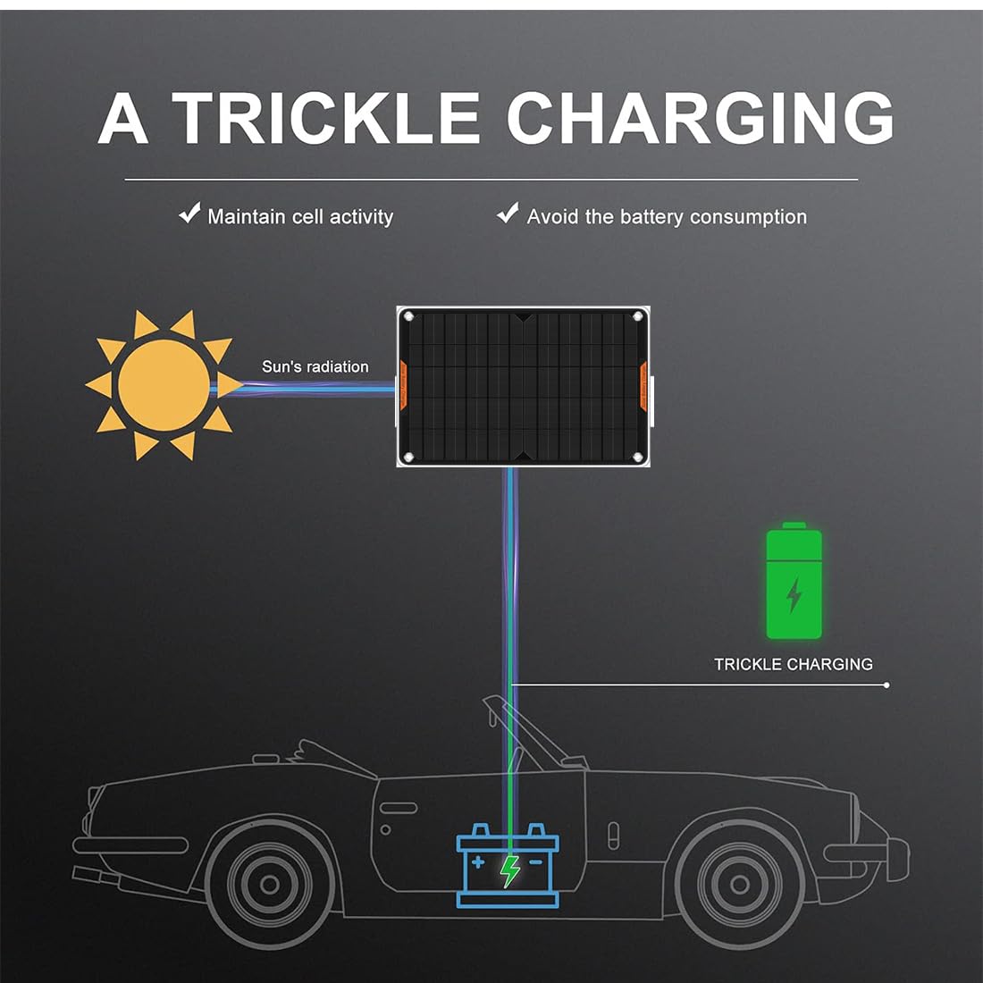 12V 10W Solar Car Battery Charger & Maintainer - Portable Solar Panel Trickle Charger with Alligator Clips & Cigarette Lighter Plug - Ideal for Cars, Boats, Motorcycles, RVs & Automotive Maintenance (Weatherproof Design)