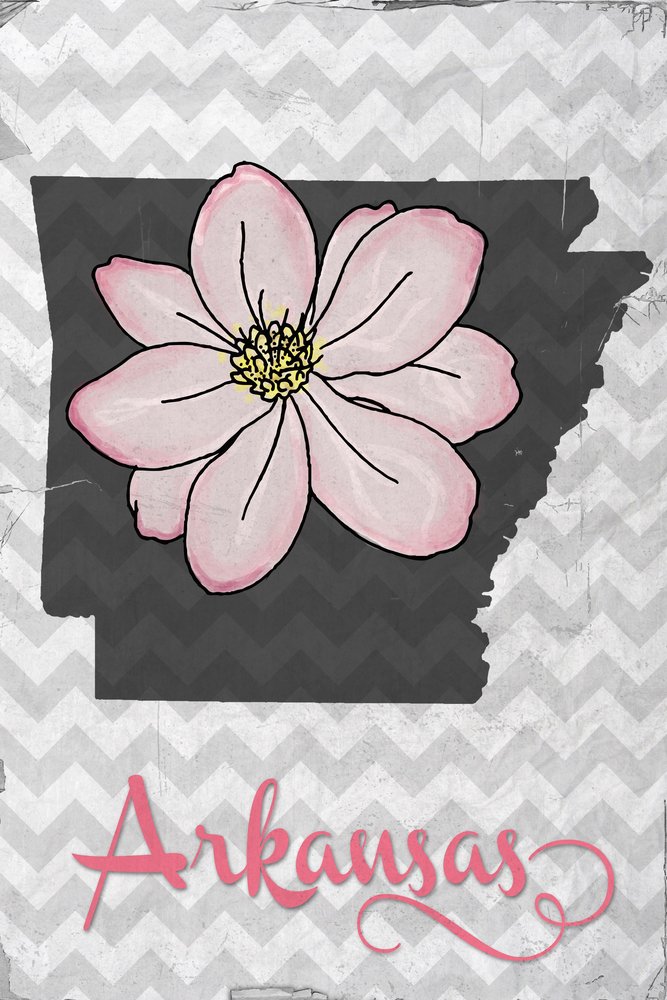 Arkansas State Flower Apple Blossom Metal Wall Art - 16x24 Inch Gallery Quality Aluminum Decor for Home & Office - Perfect for Living Room, Bedroom, or Office Wall Decor