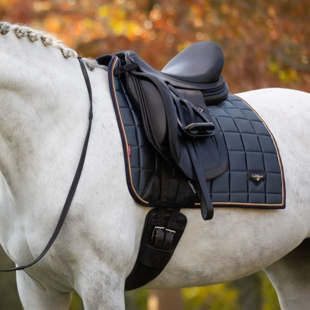 LeMieux Loire Classic Dressage Square Saddle Pad - Premium Equestrian Riding Pad for Horses - Perfect for Dressage Training & Horse Shows