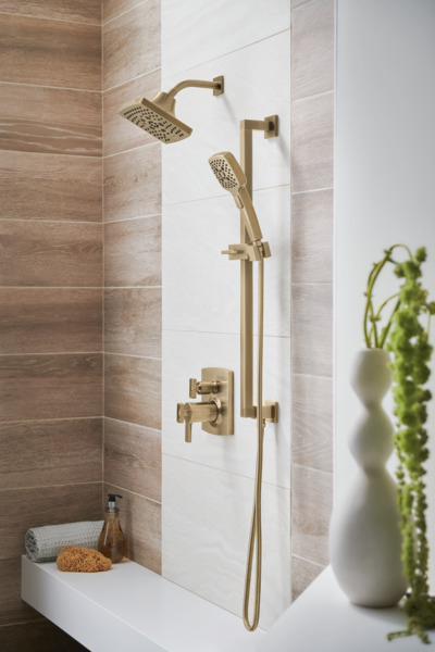 Brizo RP49645GL Venetian Bronze 60