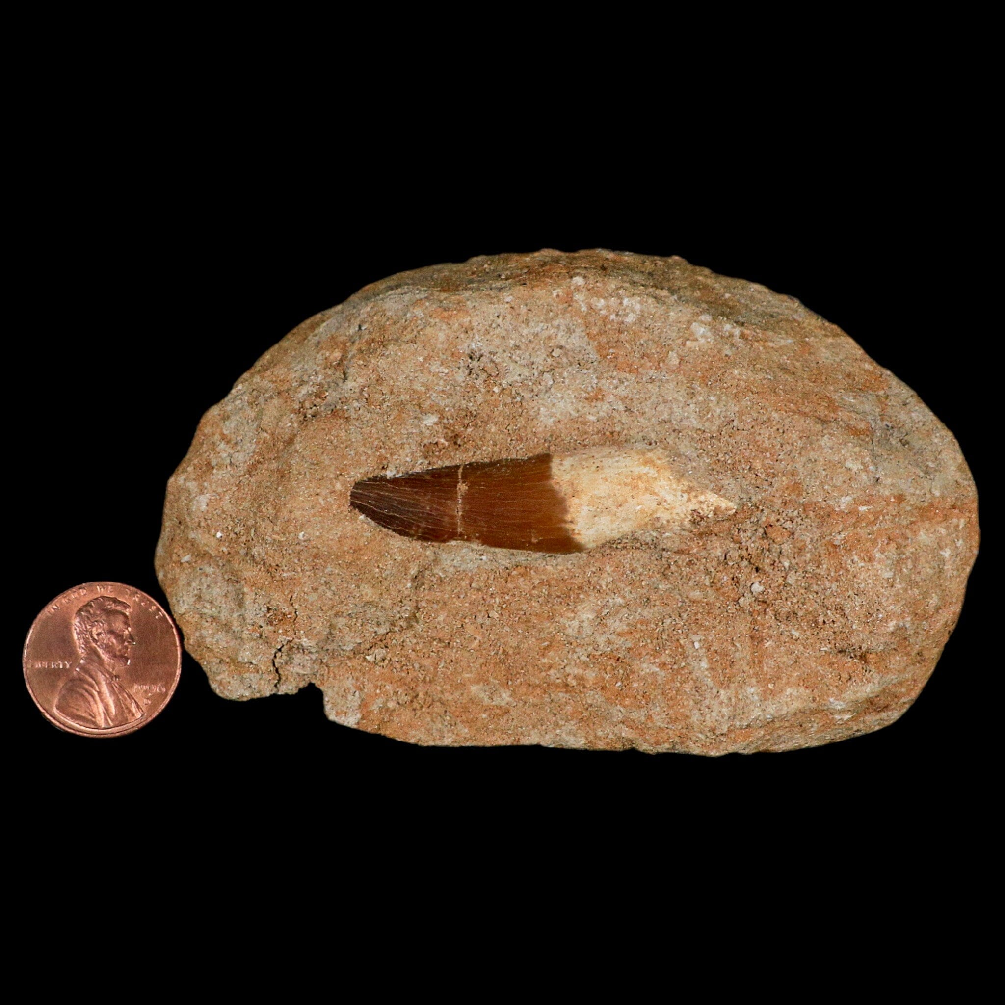 1.7