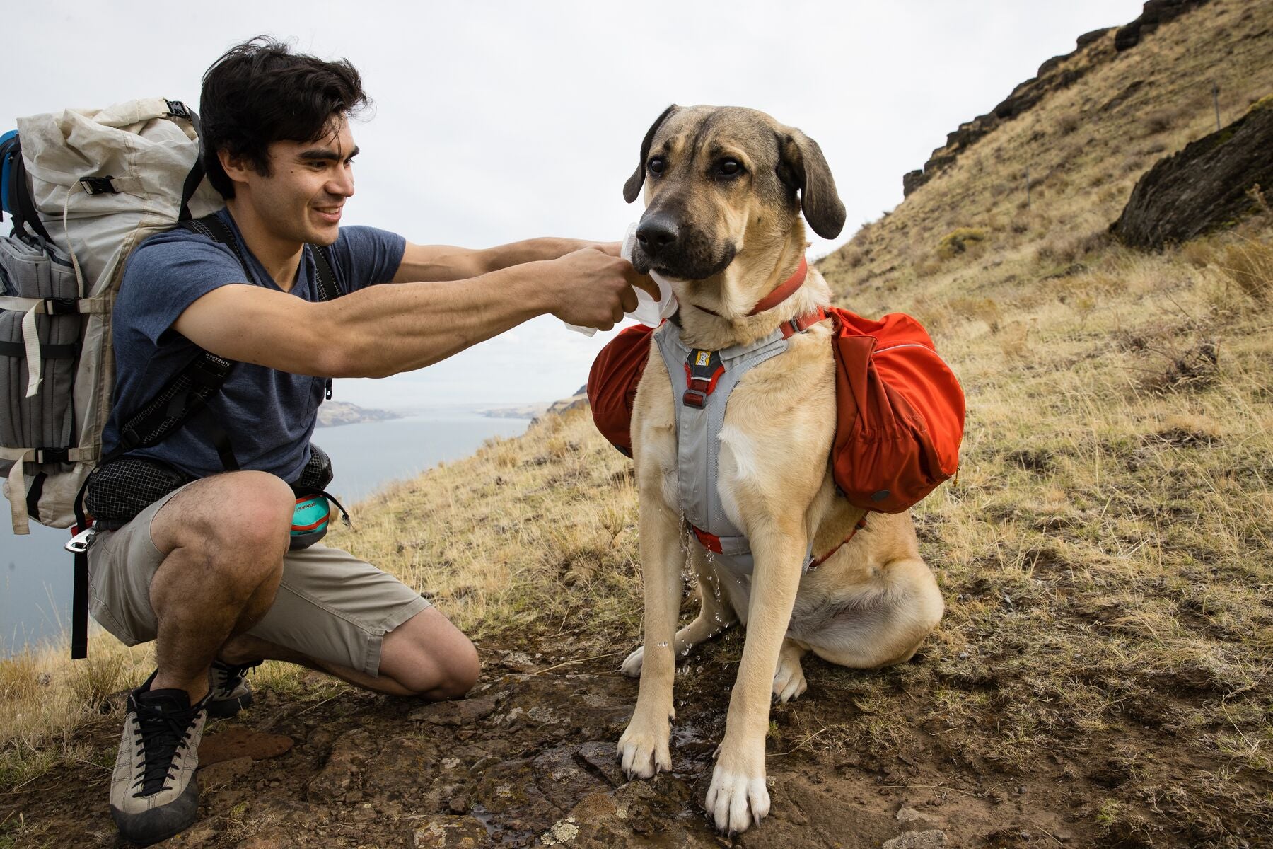 Ruffwear® Swamp Cooler Core® Protector - Cooling Vest for Dogs, Chest & Stomach Cooler - Perfect for Hiking, Running & Outdoor Adventures in Hot Weather