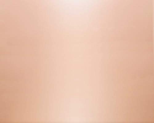 4. Rose Gold Color Buckle Adapters