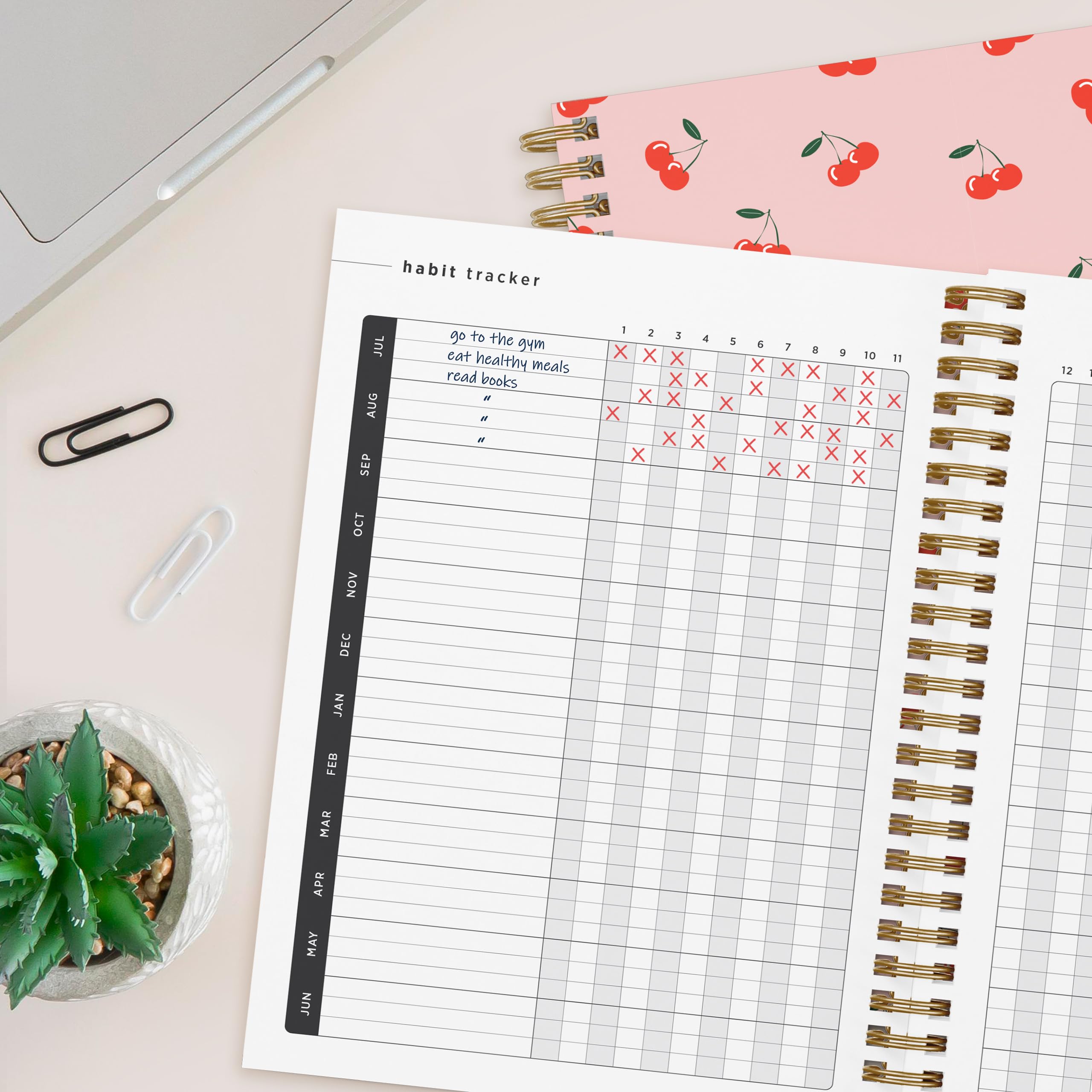 Bright Day 2024-2025 Cherry Small Academic Planner - 8.75