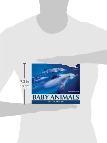 Baby Animals of the Ocean - Adorable Marine Wildlife for Kids | Nature's Baby Animals Book | Perfect for Bedtime Stories & Early Learning