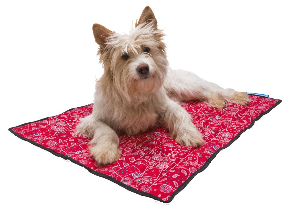 Aqua Coolkeeper Cooling Mat for Dogs & Pets - Self Cooling Gel Pad for Hot Weather - Perfect for Outdoor, Travel, and Home Use