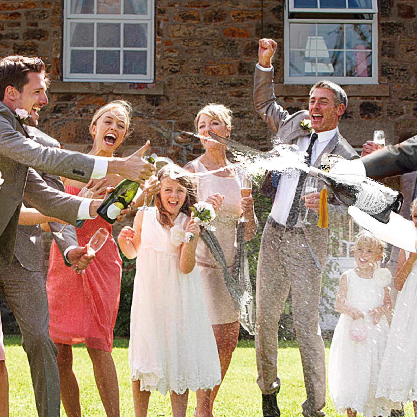 Resafy Champagne Saber - Gold Handle Champagne Sword & Opener with Gift Case - Perfect for Weddings, Parties & Celebrations - Elegant Bottle Opening Tool for Special Events & Gifts