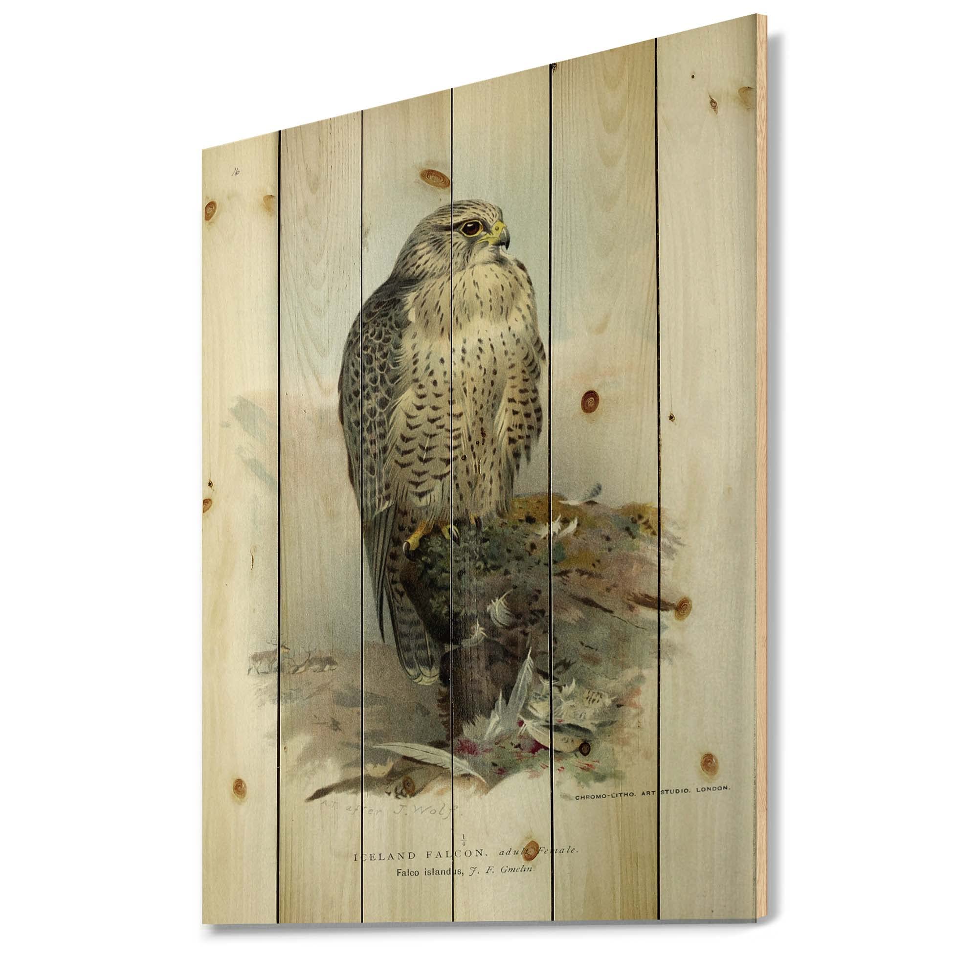 Vintage Bird & Animal Wood Wall Art - Traditional Grey Wood Wall Decor, Large Pine Wood Wall Panels with Nature Prints - Perfect for Living Room, Bedroom & Cabin Decor