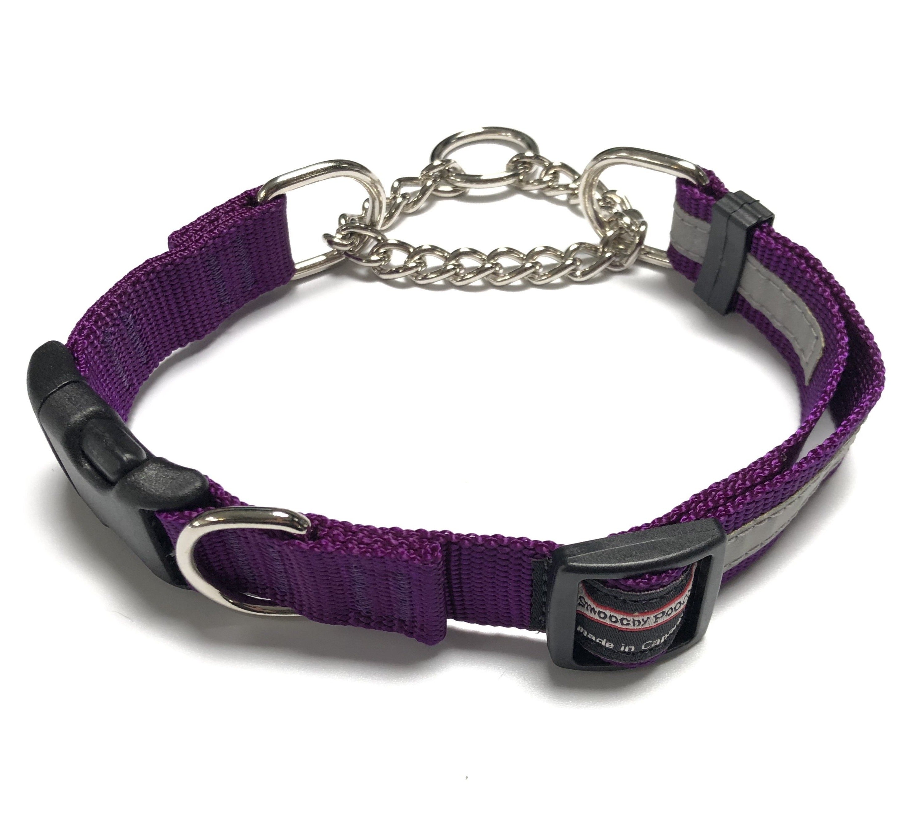 Smoochy Poochy Martingale Dog Collar with Quick Release Clip - Nylon Adjustable No-Slip Pet Collar for Training & Walking - Perfect for Small, Medium & Large Dogs