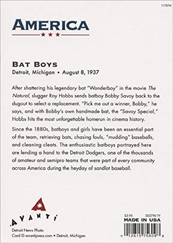 Avanti Press Bat Boys America Collection Thank You Cards - Perfect for Gifts, Greetings & Appreciation Notes