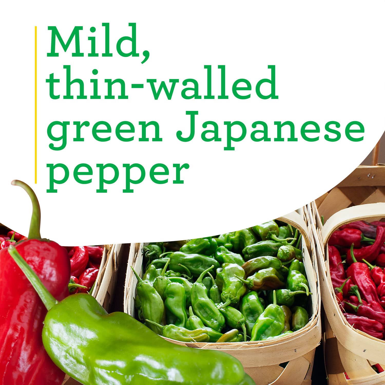 Bonnie Plants Shishito Pepper 19.3 oz. 4-Pack - Fresh Mild Japanese Peppers for Grilling, Stir-Frying & Pickling - Perfect for Home Gardens & Cooking Enthusiasts
