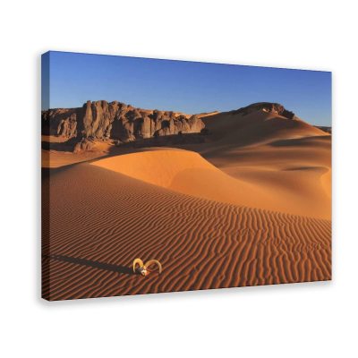 A Journey Through the Sahara: The Desert Sunset Canvas Art Print