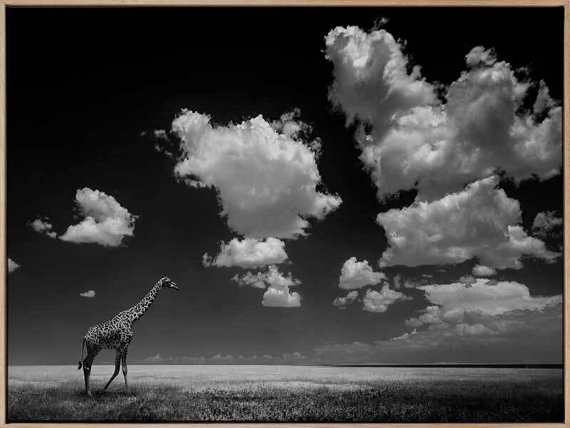 Long Walk Home Canvas Art Print - Handmade Wall Decor for Living Room, Bedroom & Office - Perfect for Home & Office Decor