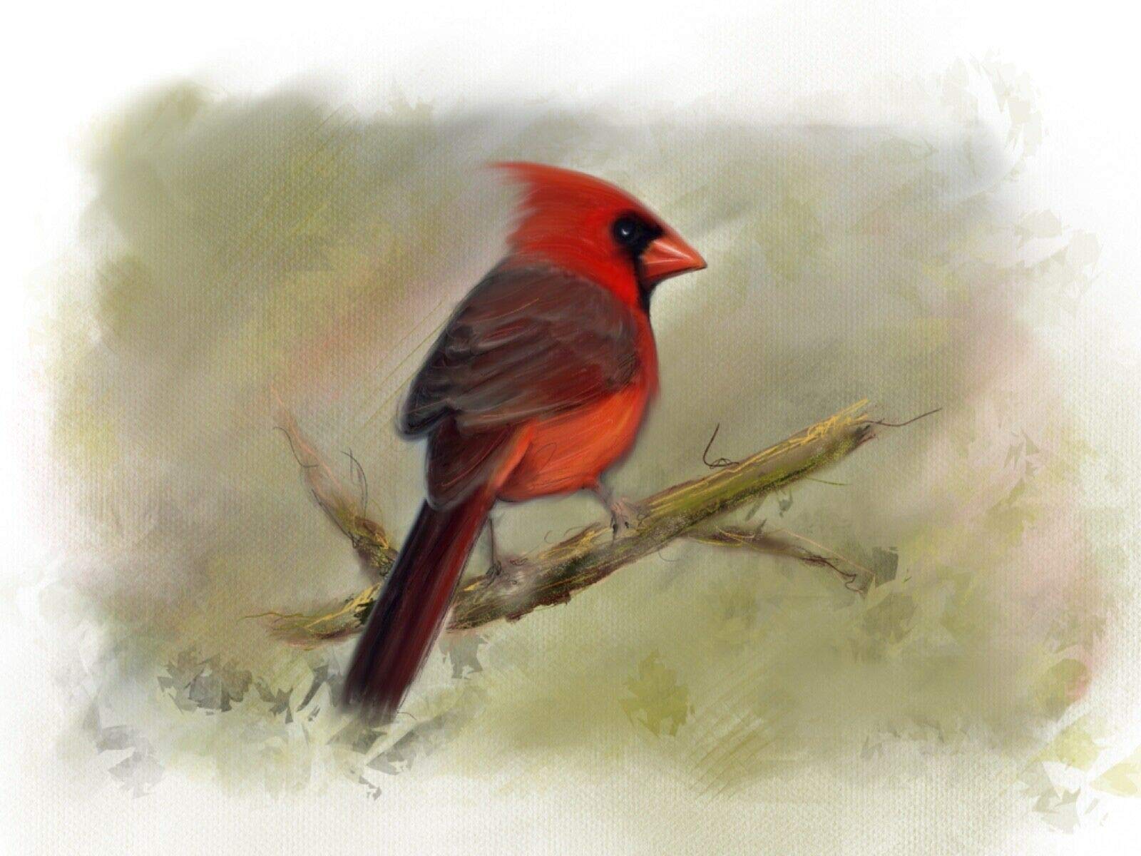 Red Cardinal Digital Waterwatercolor Print on Premium Card Stock | ACEO Size Available | Beautiful Bird Wall Art for Home & Office Decor | Perfect Birthday Gift for Nature Lovers | Ideal for Living Rooms, Bedrooms or Workspaces