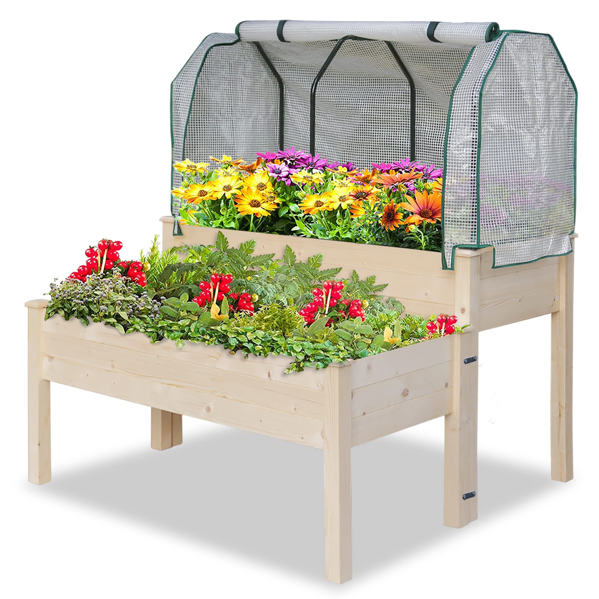 Natural Cedar Wood 2-Tier Elevated Raised Garden Bed Planter Box with Greenhouse Cover - Easy Assembly for Flowers, Vegetables & Herbs | Perfect for Backyard Gardening, Patio Planting & Small Space Urban Farming