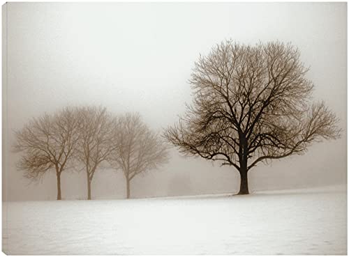 Winter Sun Sepia